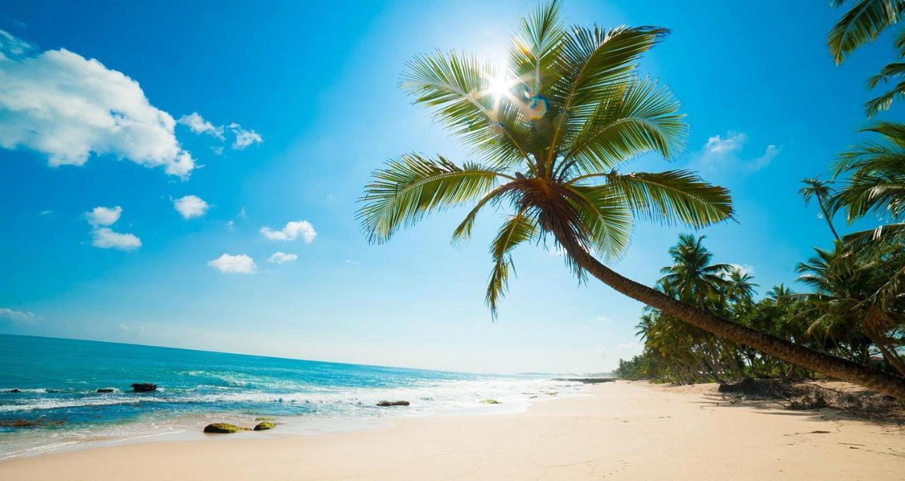 Valentina Resort & Spa フーコック エクステリア 写真