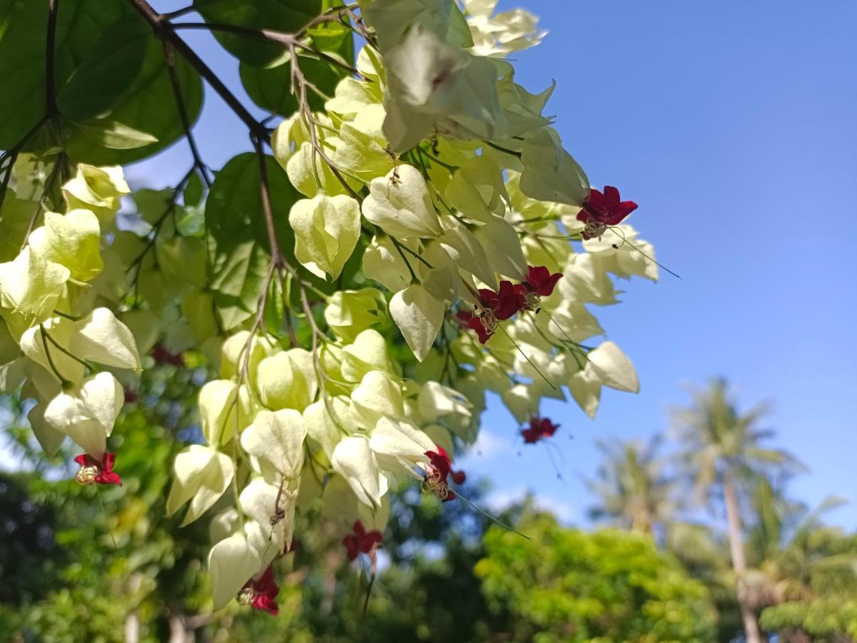 Valentina Resort & Spa フーコック エクステリア 写真